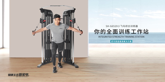 星空xk健身器材-小飞鸟综合训练器SH-G6520